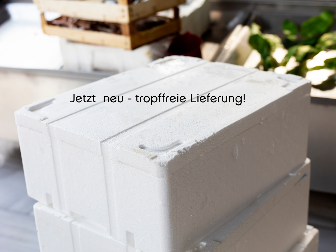 Jetzt neu - Frischer Fisch wird tropffrei angeliefert!