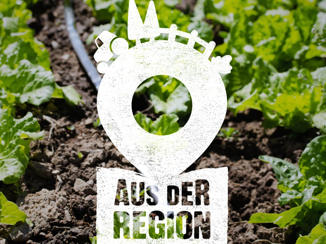 Aus der Region - für die Region Weißes Schild auf einem Feld mit Salat: Aus der Region - für die Region