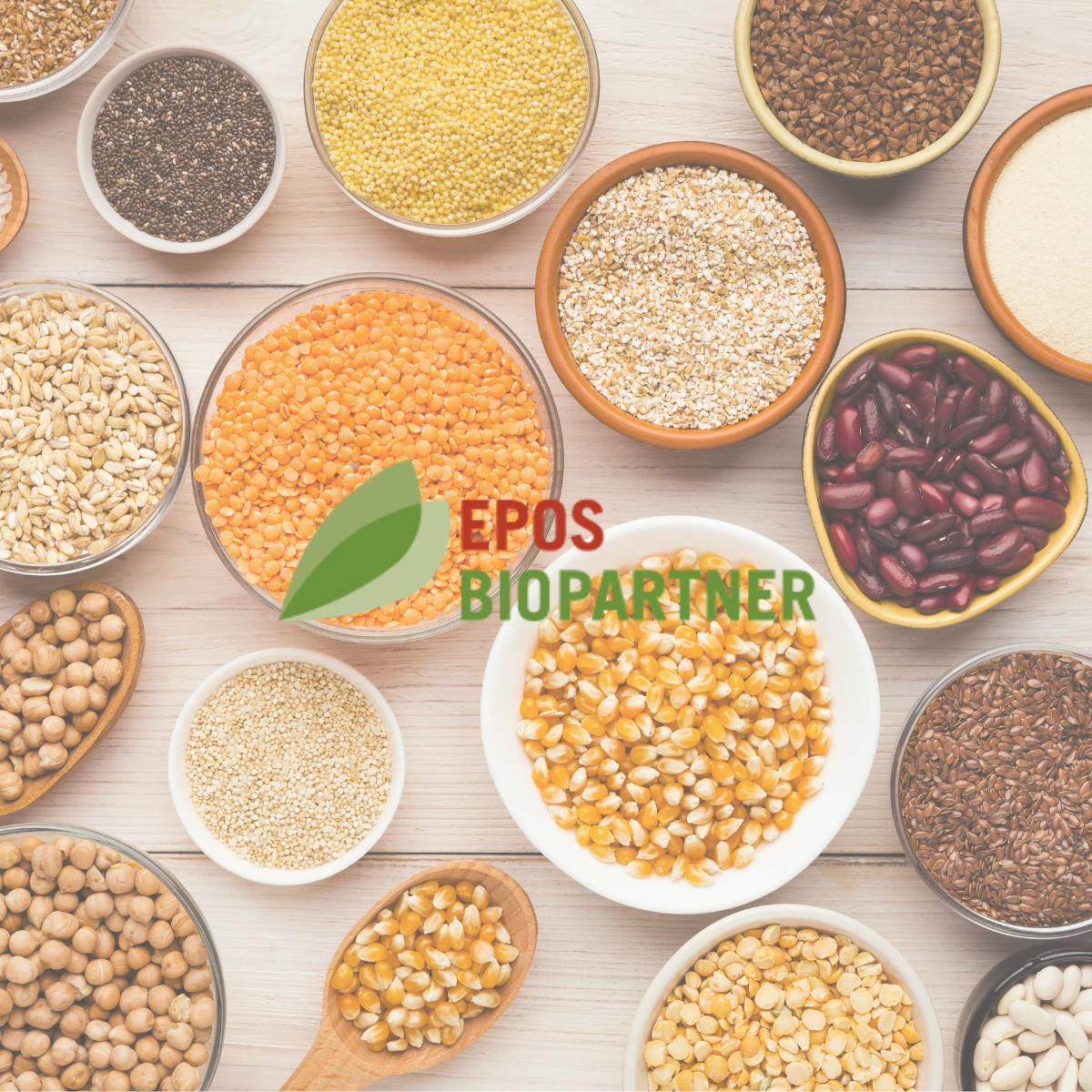 Hülsenfrüchte & Getreidevielfalt in BIO-Qualität möglich durch Bio Partner EPOS