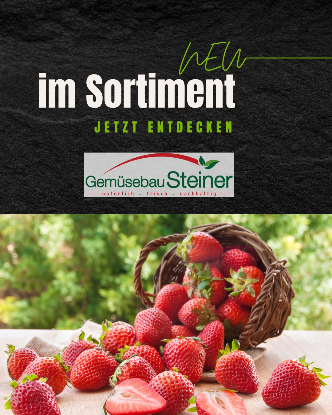 Ultrafrisches Obst und Gemüse vom Gemüsbau Steiner - jetzt bestellen